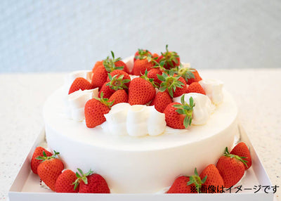 いちごのショートケーキ8号 （配送可能日：3/29まで）